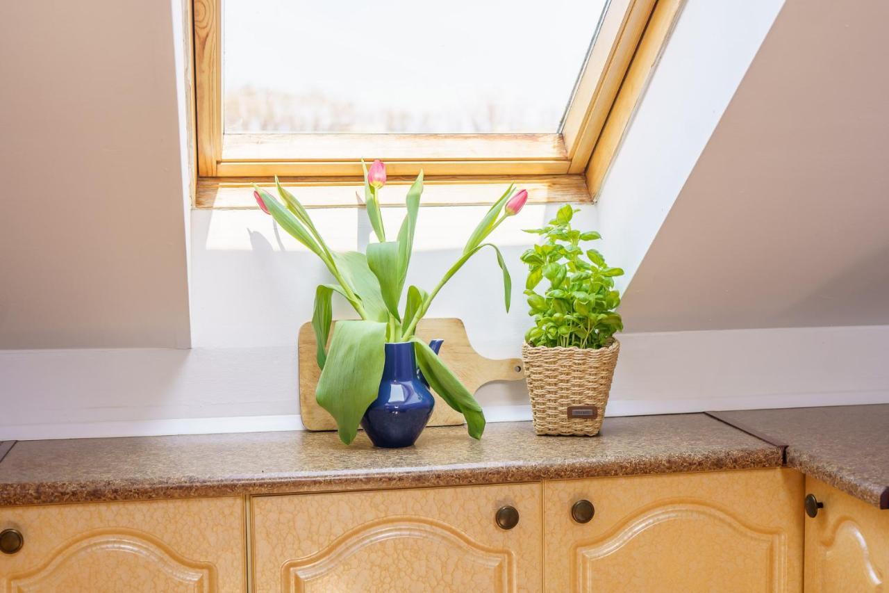Klimatyczny Apartament Przy Bulwarze Optima Daire Kolobrzeg Dış mekan fotoğraf
